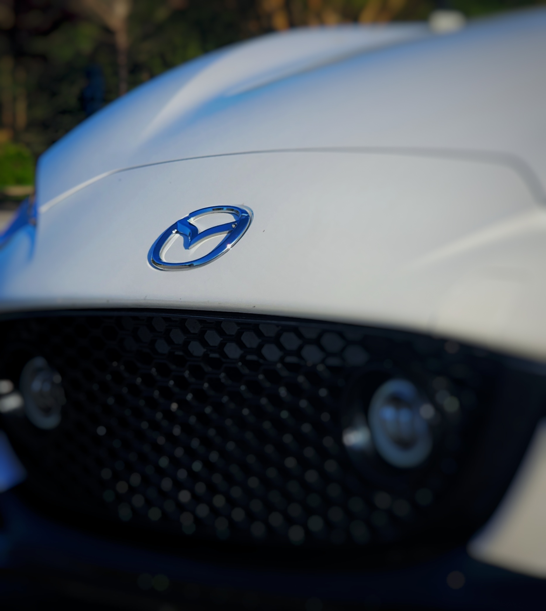 Preview gallery image