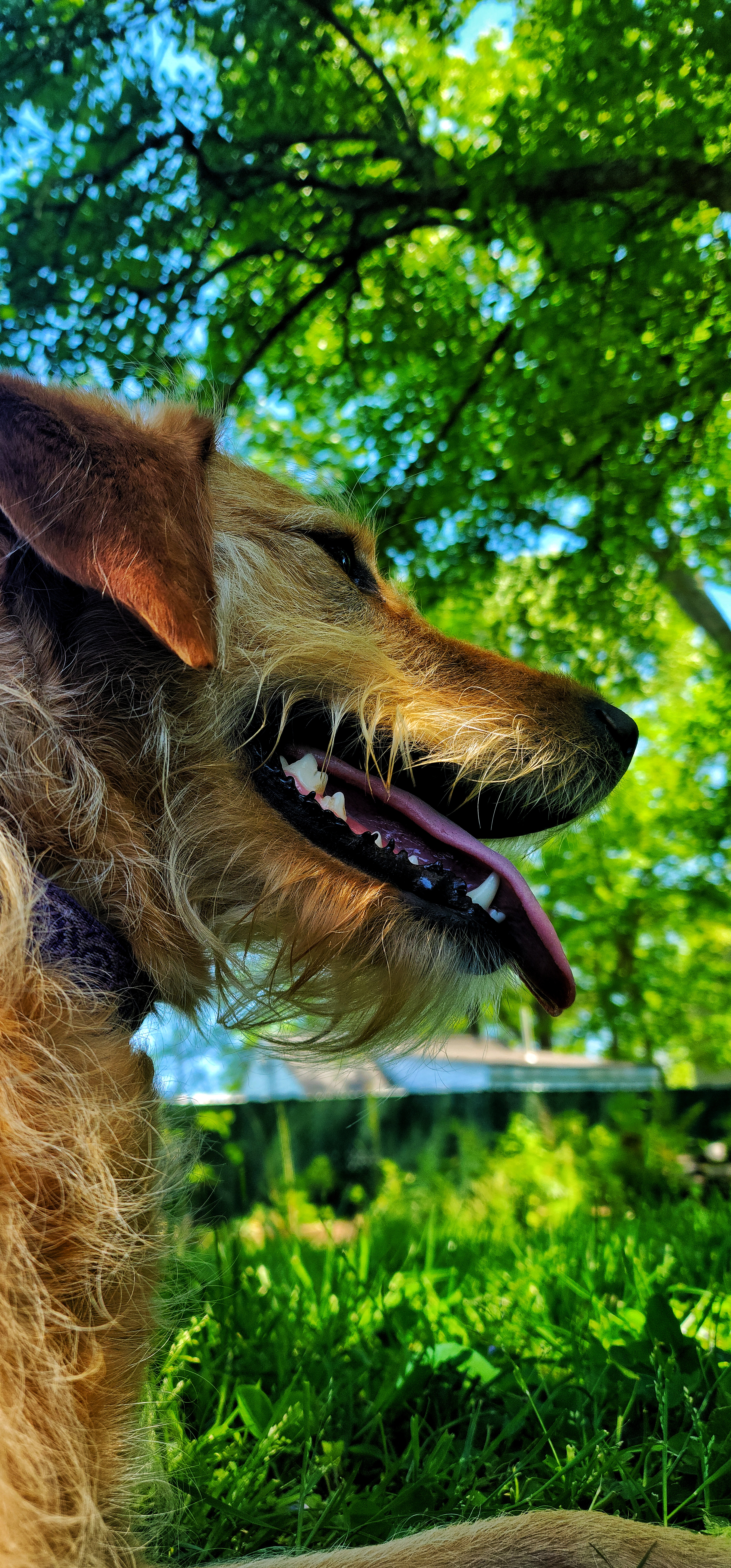 Preview gallery image