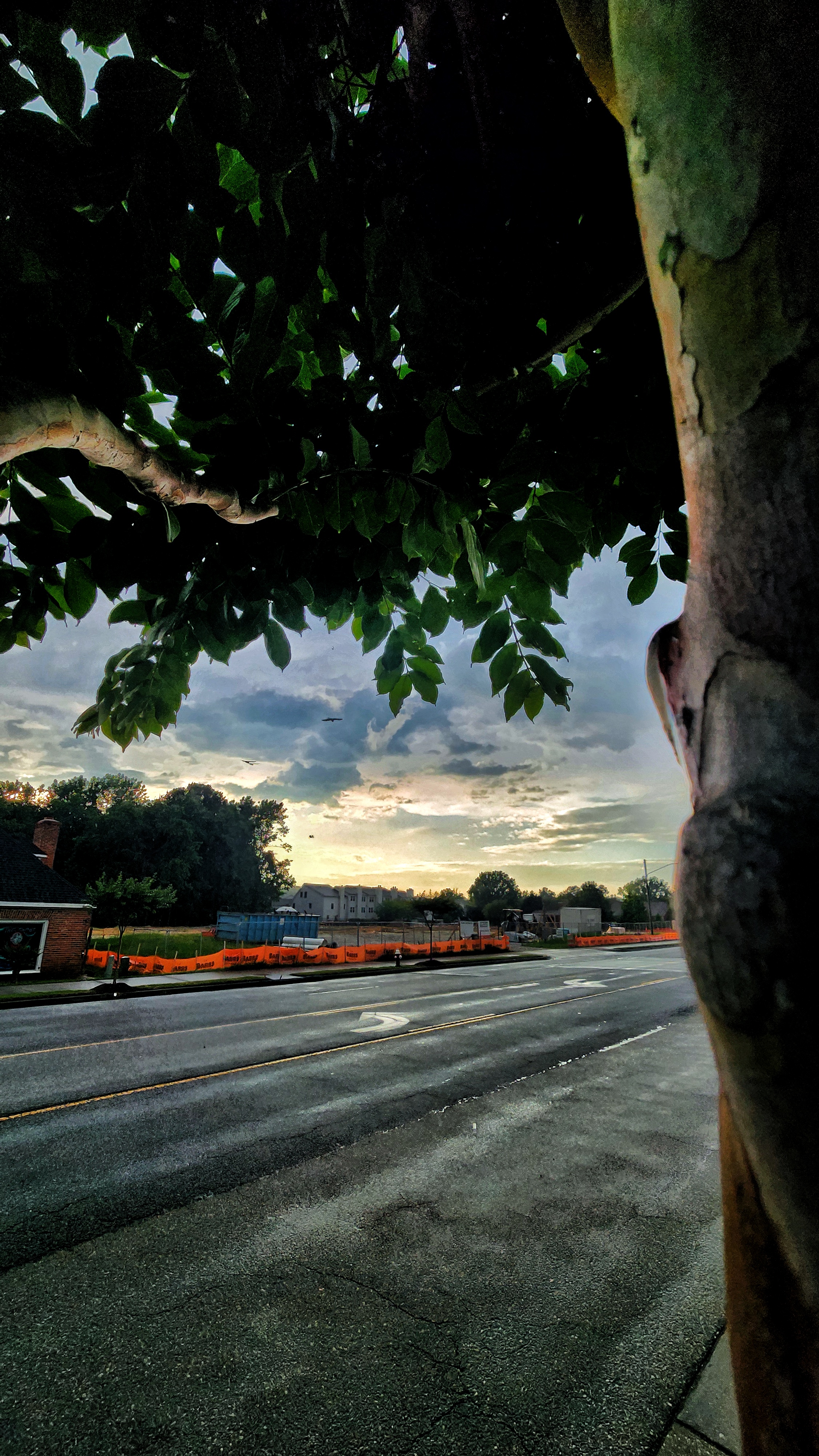 Preview gallery image